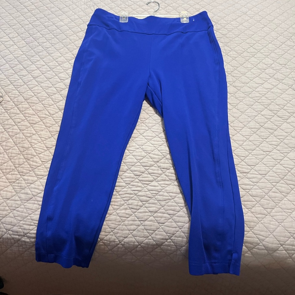 Women's Blue Ankle Pants